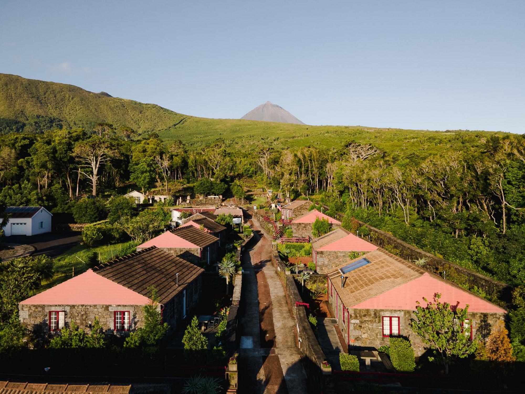 Aldeia Das Adegas São Roque do Pico Exterior foto