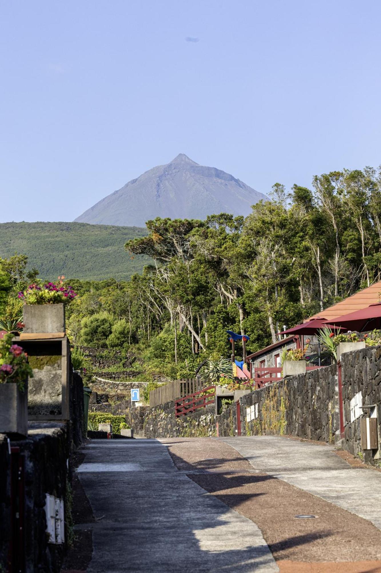 Aldeia Das Adegas São Roque do Pico Exterior foto