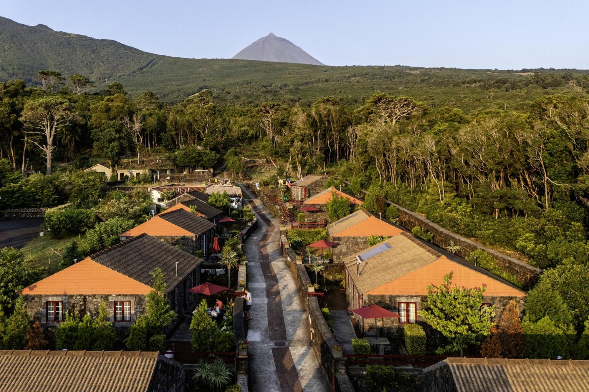 Aldeia Das Adegas São Roque do Pico Exterior foto